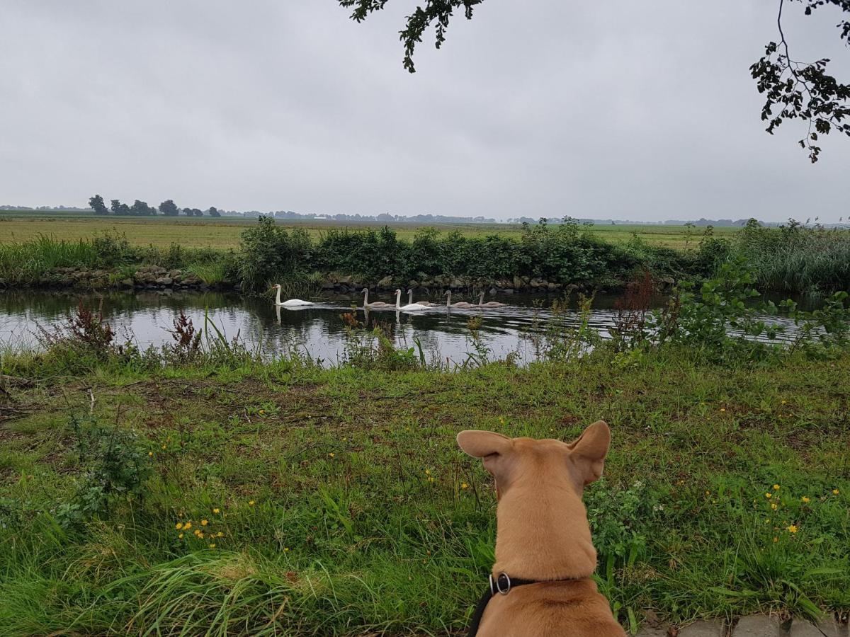 Drenths Landgoed, Welkom Thuis Annerveenschekanaal Ngoại thất bức ảnh